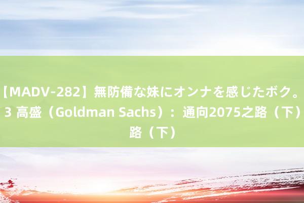 【MADV-282】無防備な妹にオンナを感じたボク。 3 高盛(Goldman Sachs):通向2075之路(下)