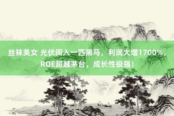 丝袜美女 光伏闯入一匹黑马,利润大增1700%,ROE超越茅台,成长性极强!