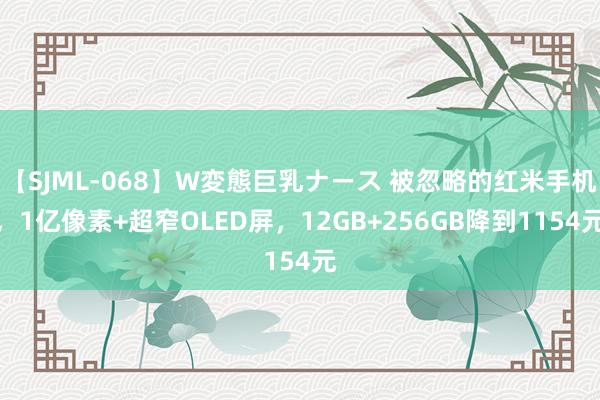 【SJML-068】W変態巨乳ナース 被忽略的红米手机,1亿像素+超窄OLED屏,12GB+256GB降到1154元