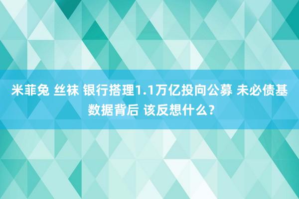 米菲兔 丝袜 银行搭理1.1万亿投向公募 未必债基 数据背后 该反想什么？
