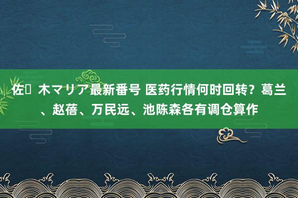 佐々木マリア最新番号 医药行情何时回转?葛兰、赵蓓、万民远、池陈森各有调仓算作