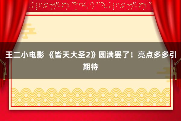 王二小电影 《皆天大圣2》圆满罢了!亮点多多引期待