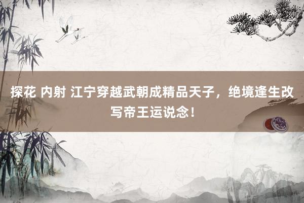 探花 内射 江宁穿越武朝成精品天子，绝境逢生改写帝王运说念！