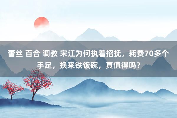 蕾丝 百合 调教 宋江为何执着招抚，耗费70多个手足，换来铁饭碗，真值得吗？