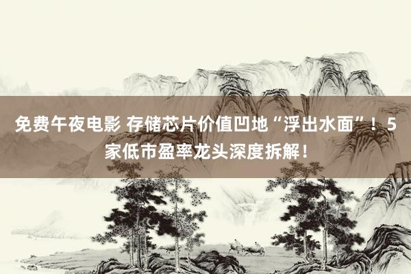 免费午夜电影 存储芯片价值凹地“浮出水面”！5家低市盈率龙头深度拆解！