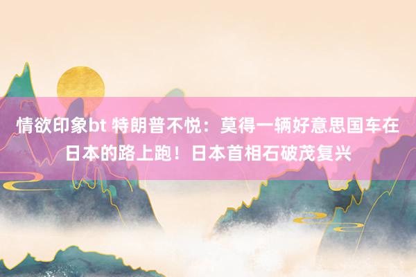 情欲印象bt 特朗普不悦：莫得一辆好意思国车在日本的路上跑！日本首相石破茂复兴