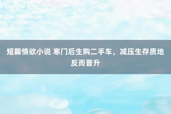 短篇情欲小说 寒门后生购二手车,减压生存质地反而晋升