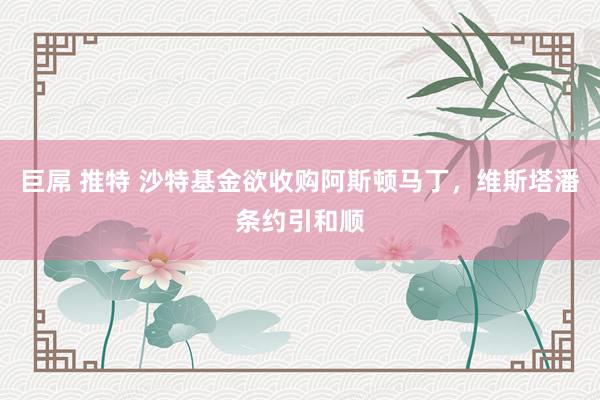 巨屌 推特 沙特基金欲收购阿斯顿马丁，维斯塔潘条约引和顺