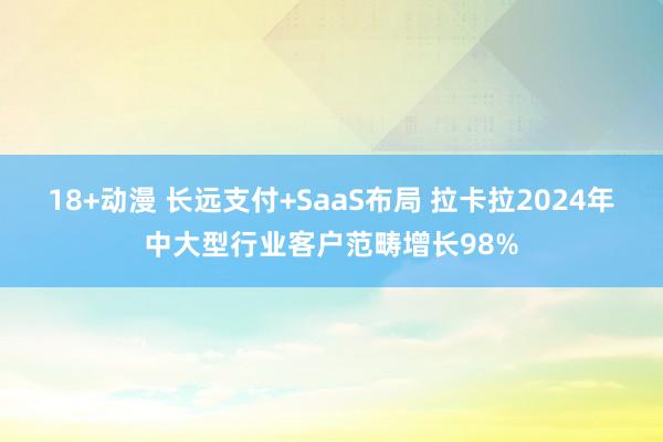 18+动漫 长远支付+SaaS布局 拉卡拉2024年中大型行业客户范畴增长98%