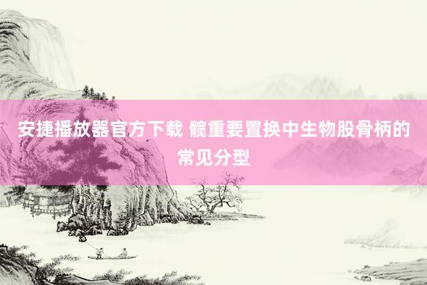 安捷播放器官方下载 髋重要置换中生物股骨柄的常见分型
