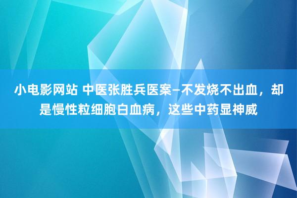 小电影网站 中医张胜兵医案—不发烧不出血,却是慢性粒细胞白血病,这些中药显神威