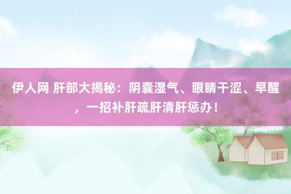 伊人网 肝部大揭秘：阴囊湿气、眼睛干涩、早醒，一招补肝疏肝清肝惩办！
