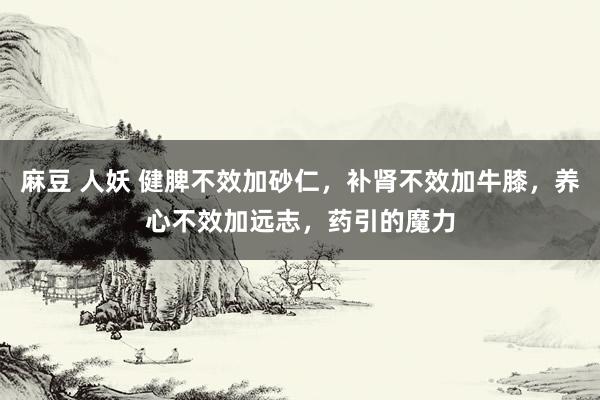 麻豆 人妖 健脾不效加砂仁，补肾不效加牛膝，养心不效加远志，药引的魔力