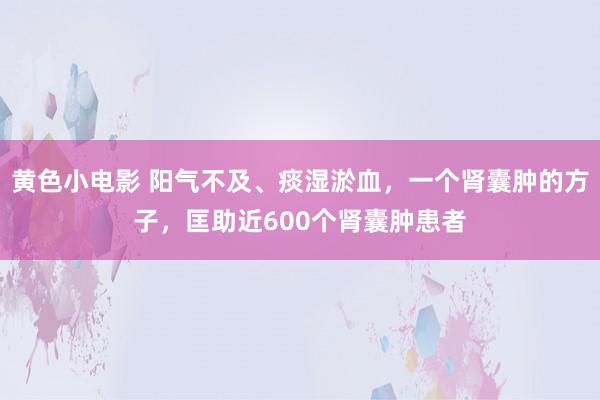 黄色小电影 阳气不及、痰湿淤血，一个肾囊肿的方子，匡助近600个肾囊肿患者