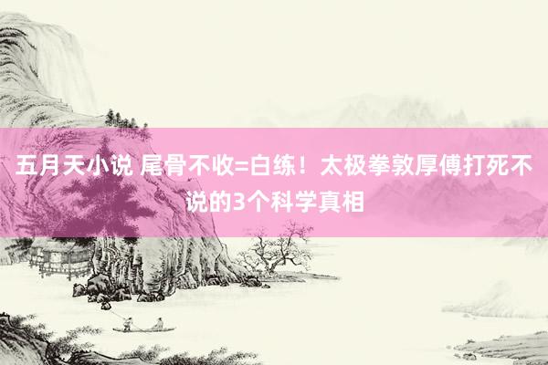 五月天小说 尾骨不收=白练!太极拳敦厚傅打死不说的3个科学真相