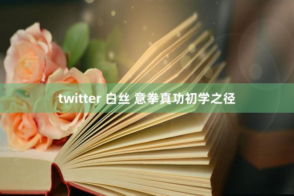 twitter 白丝 意拳真功初学之径