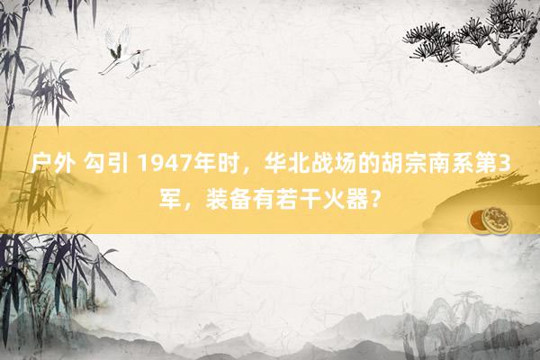 户外 勾引 1947年时,华北战场的胡宗南系第3军,装备有若干火器?