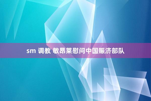 sm 调教 敏昂莱慰问中国赈济部队